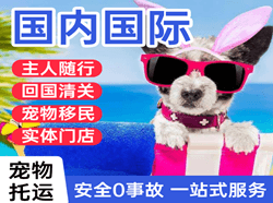 三源浦航空托运国际宠物托运 【国